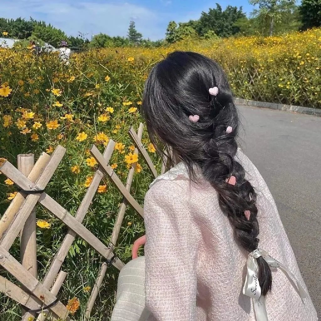 彩叶草之梦
